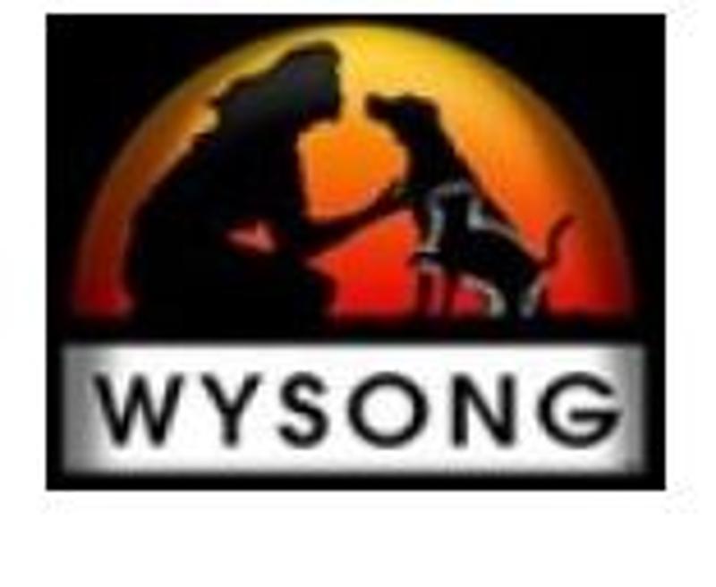 WYSONG Coupons & Promo Codes
